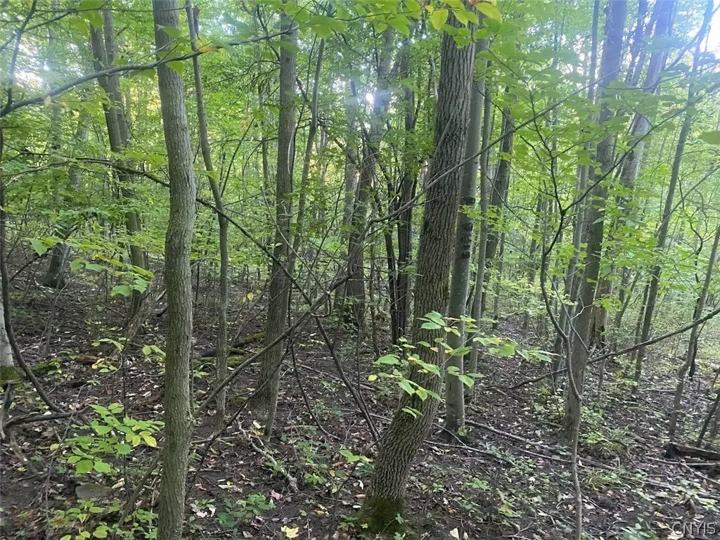 Picture 15