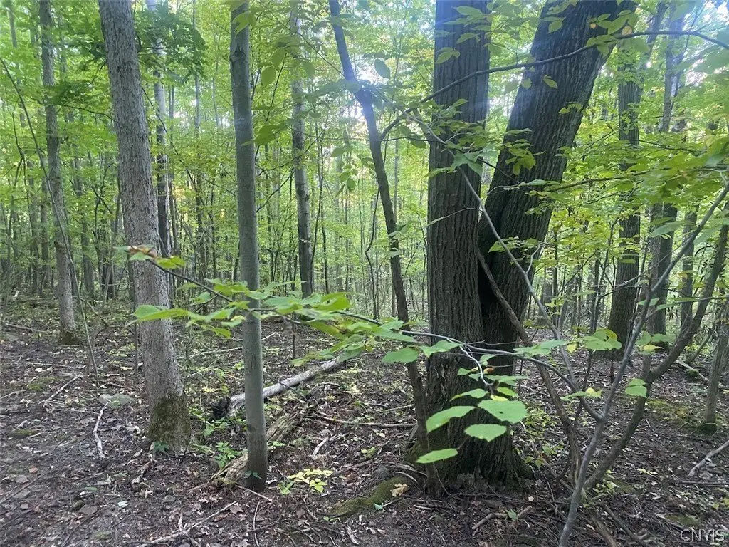 Picture 14