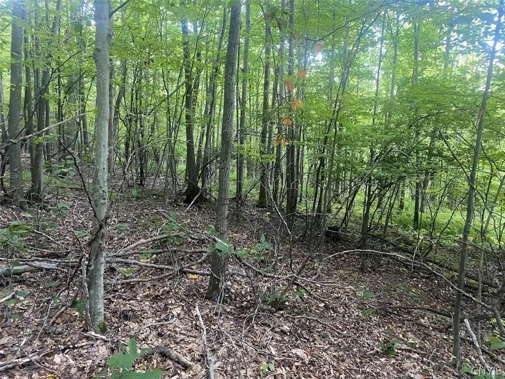 Picture 12