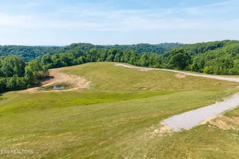 Dale Hollow Lake View Estate