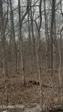 20 Acres Unrestricted Land