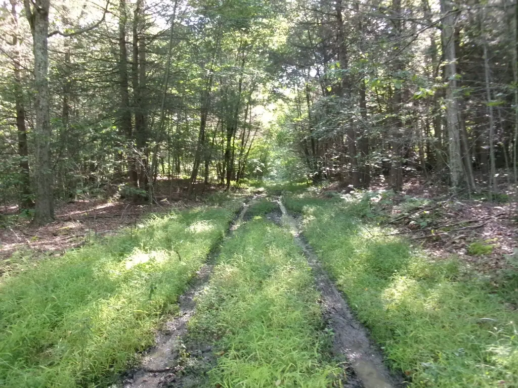 Picture 4
