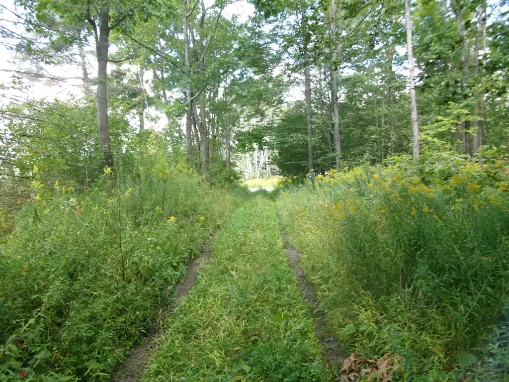 Picture 9