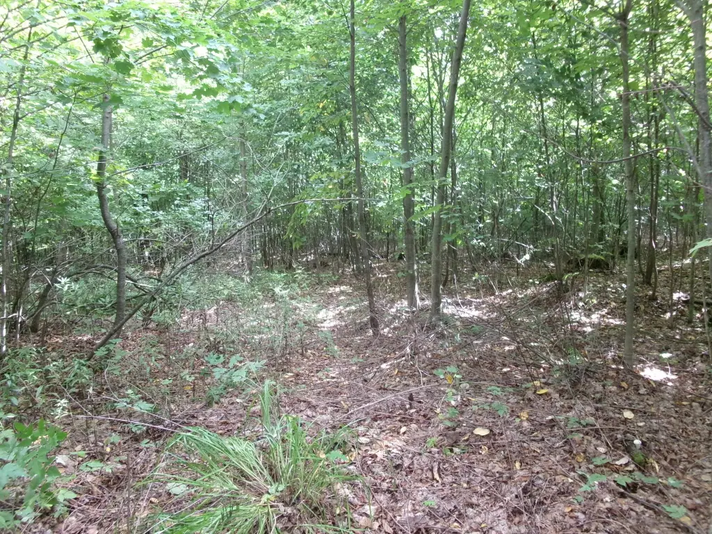 Picture 18