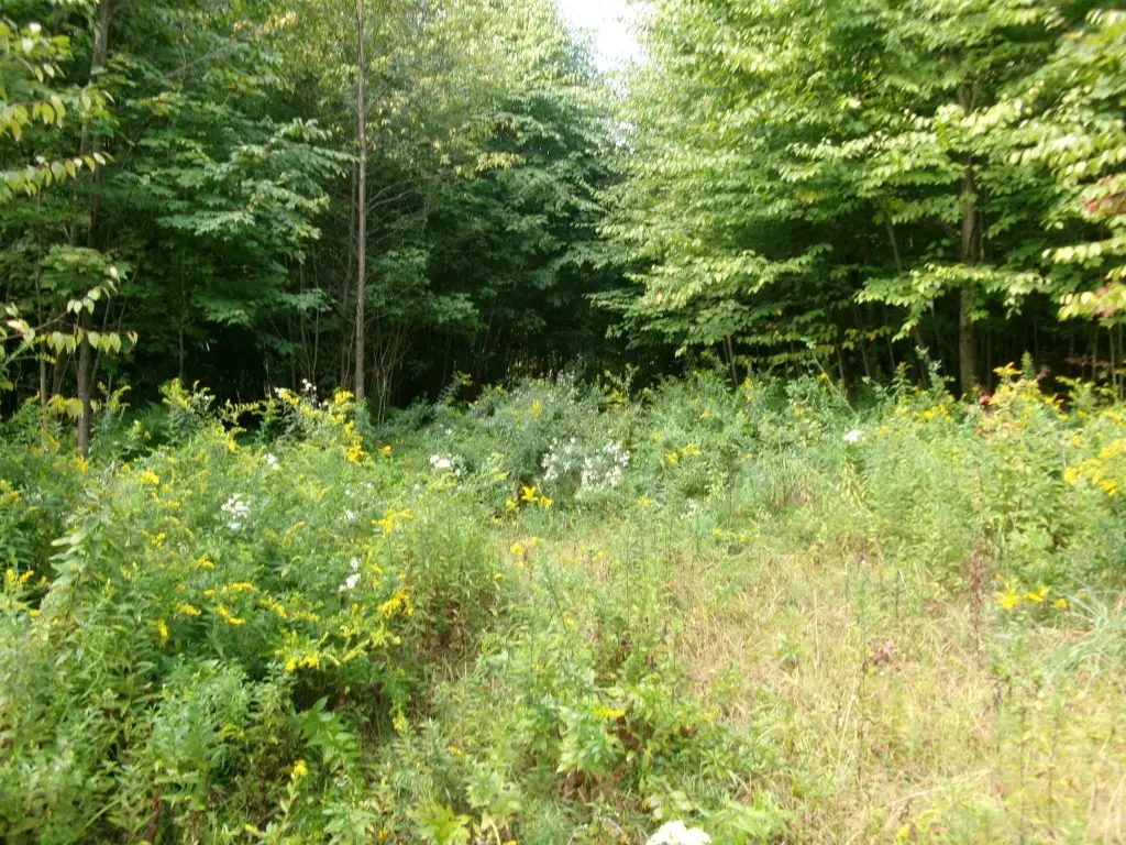 Picture 30