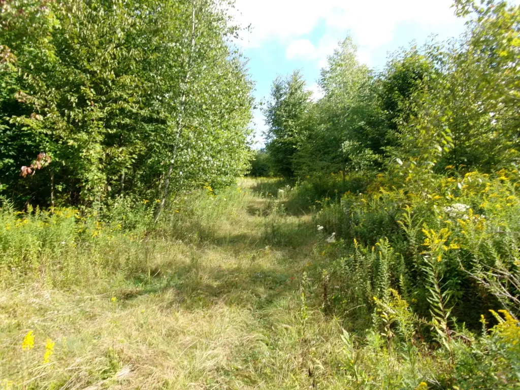 Picture 7