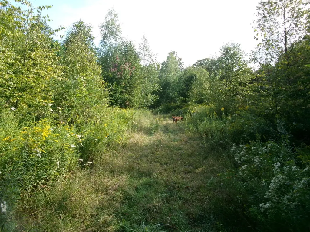 Picture 23