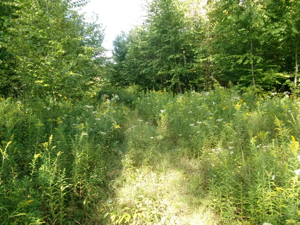 Picture 19