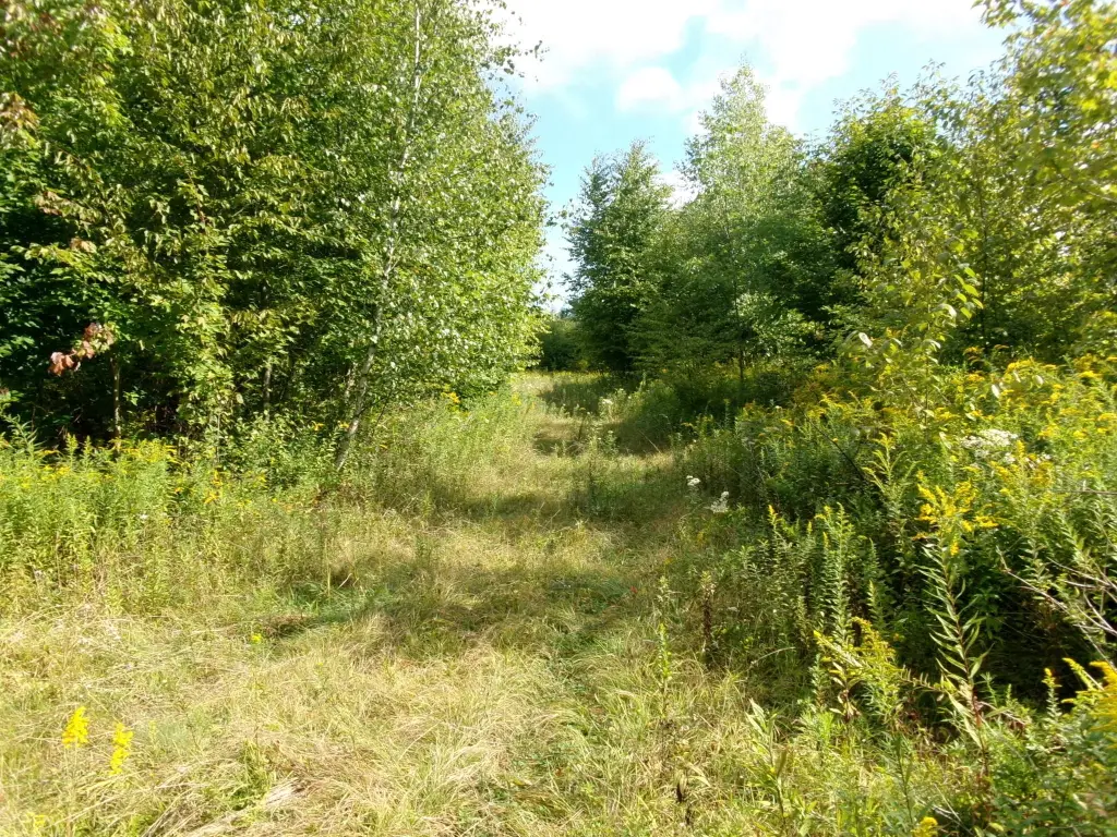 Picture 8