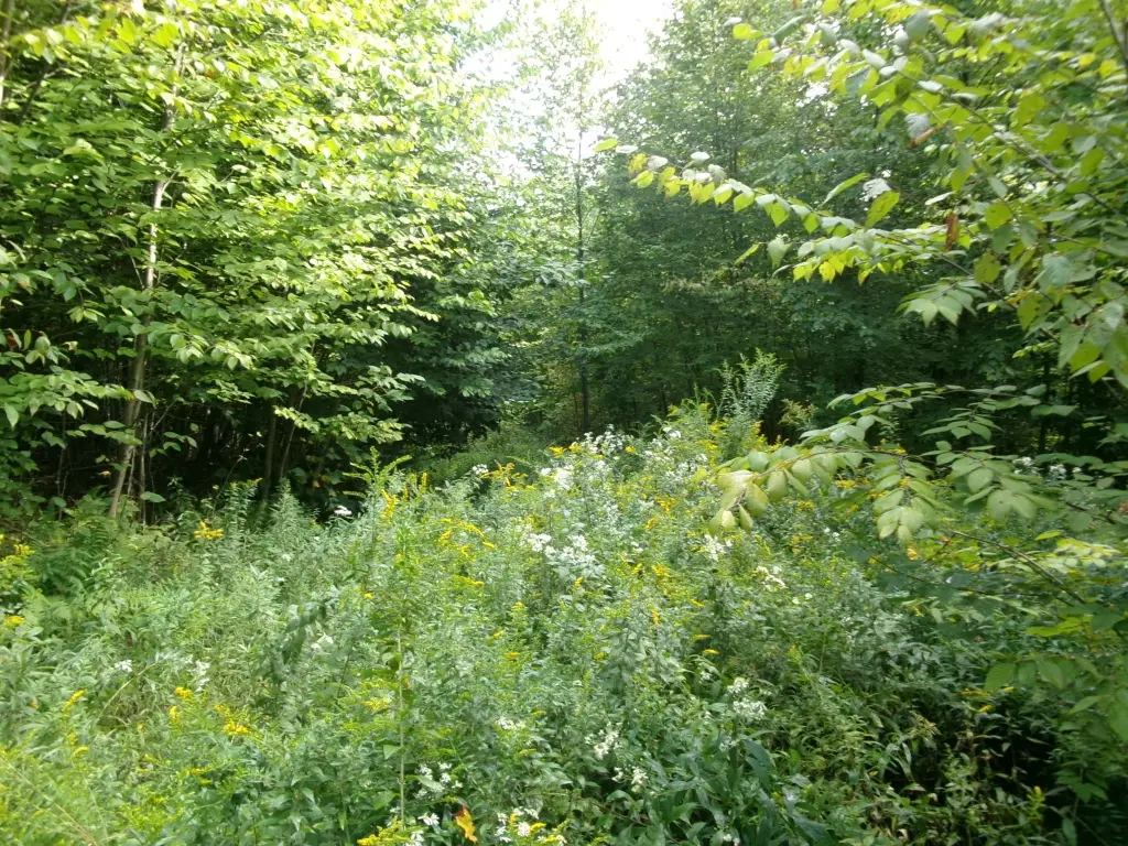Picture 31