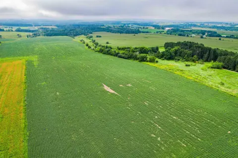 Residential Lots with Rib Mountain View