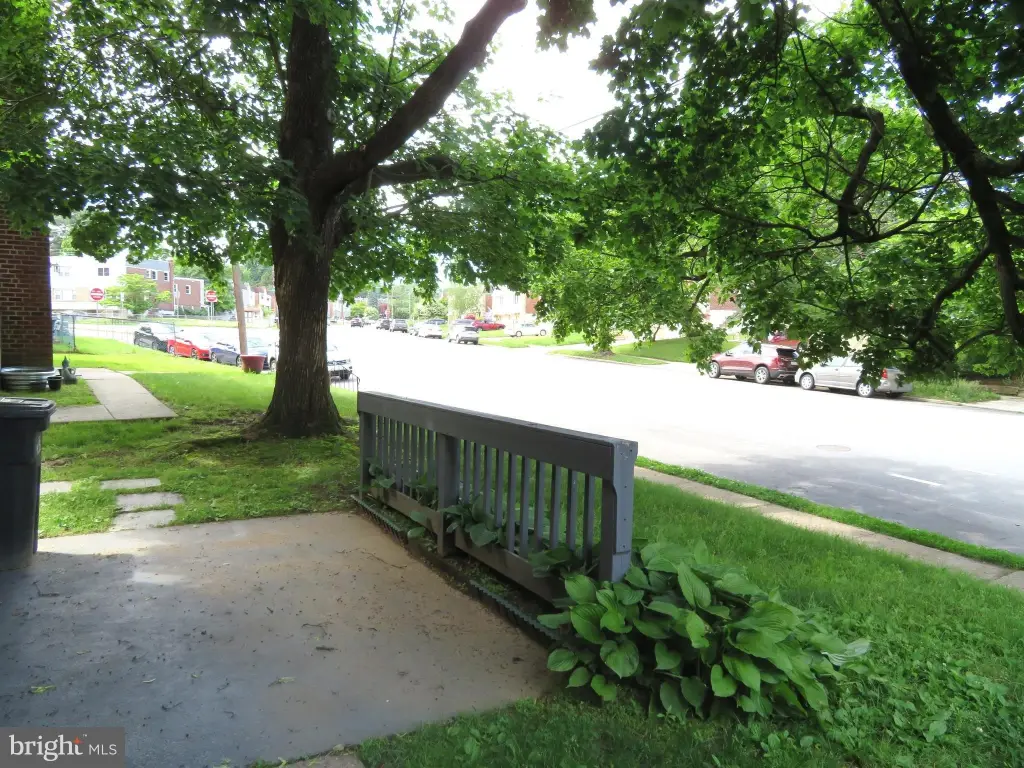 Picture 3