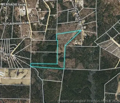 Rural Hunting Land