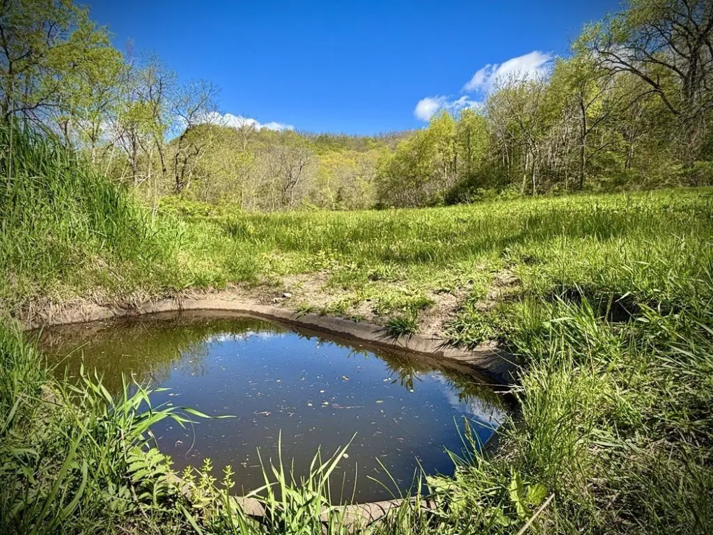 Picture 16