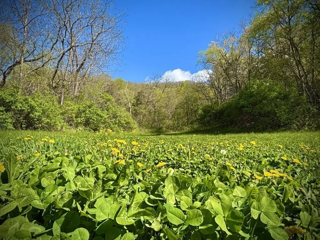 Picture 15