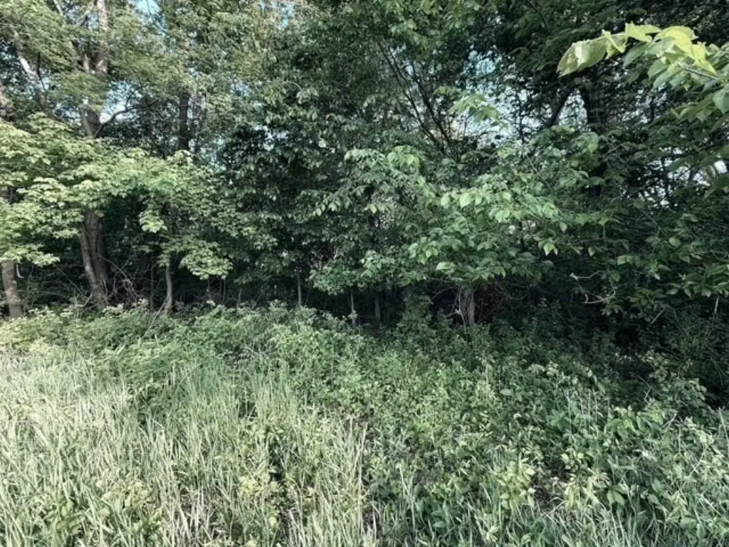 Picture 12