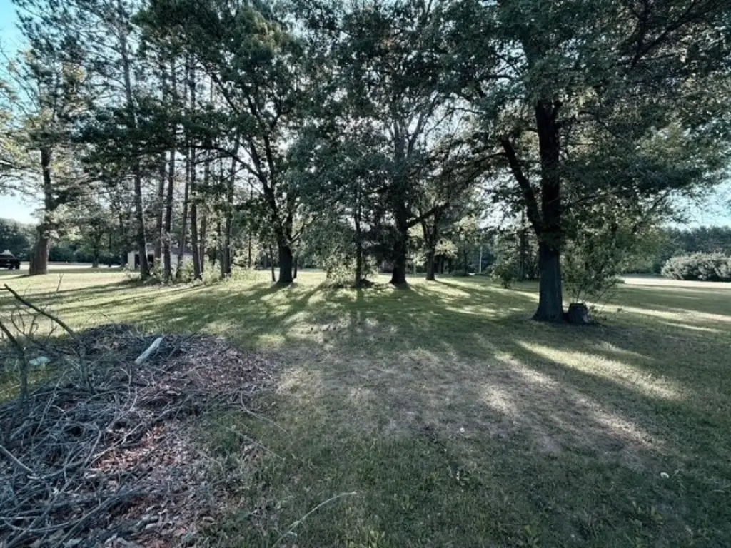 Picture 5
