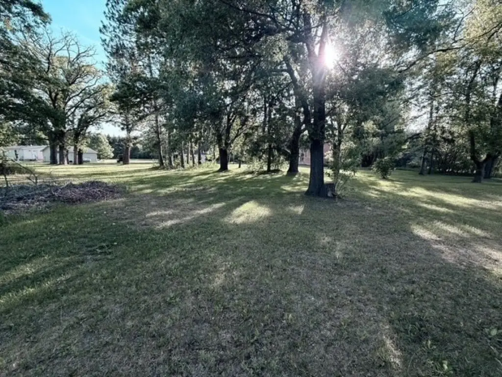 Picture 4