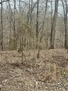 Residential Land in Bella Vista