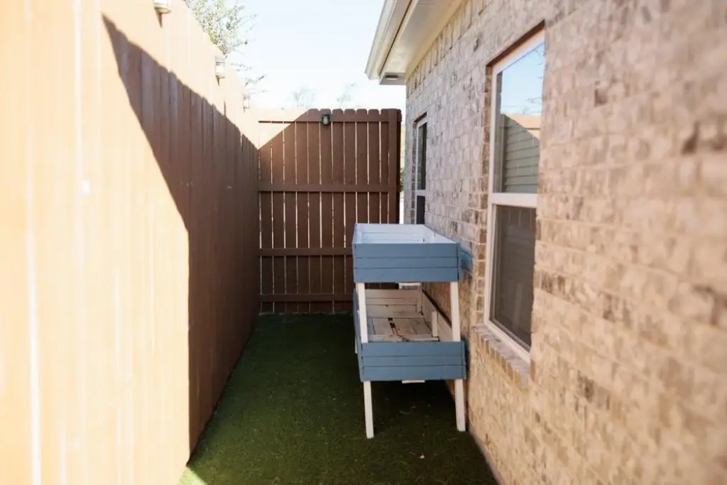 Picture 21
