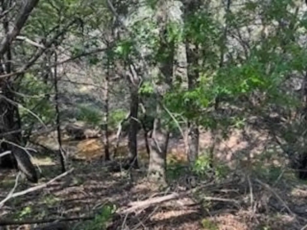 Picture 19