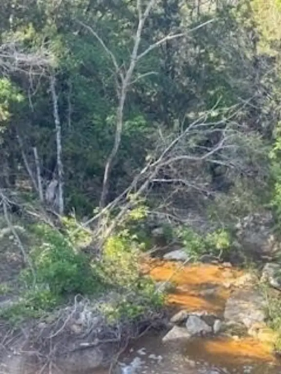 Picture 21