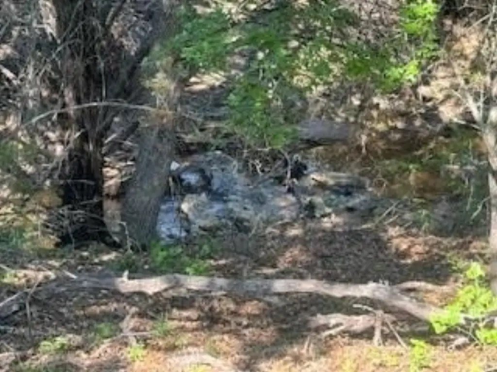 Picture 18
