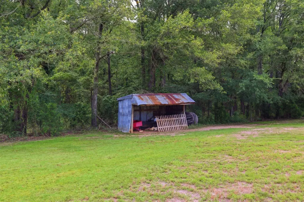 Picture 25