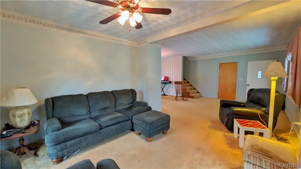 Picture 7