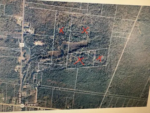 Wooded Hunting Land