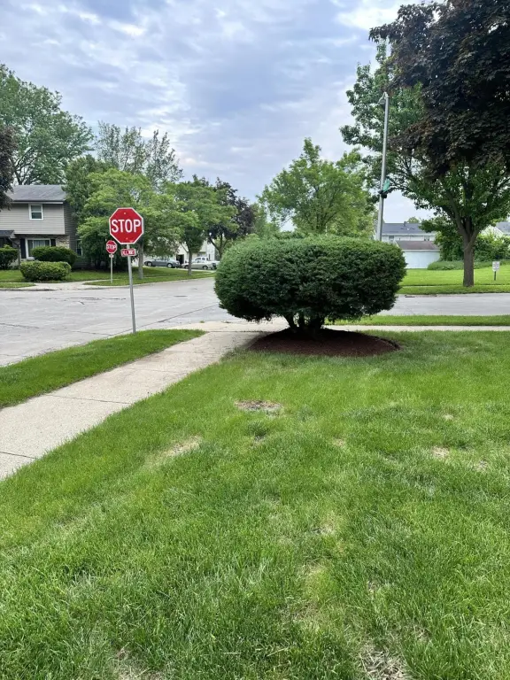 Picture 21