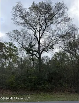 Land in Gulfport, Mississippi