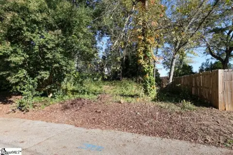 Downtown Greenville Residential Lot