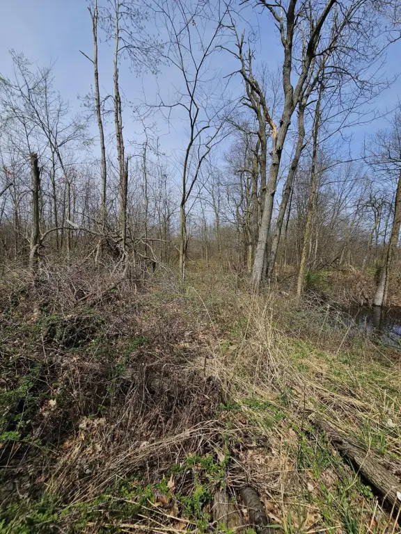 Picture 12