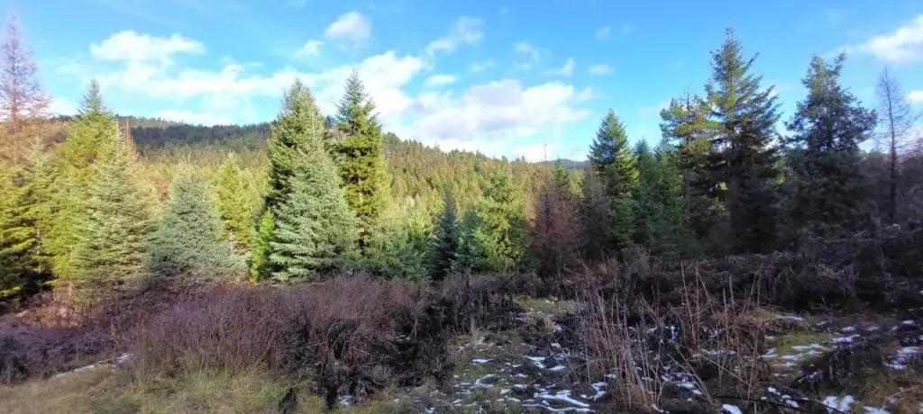 Picture 2