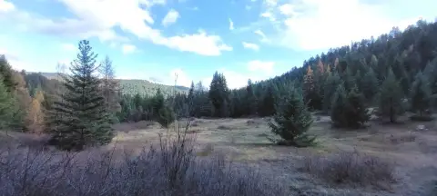 Treed Recreational Land