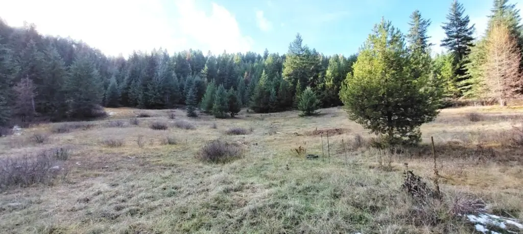 Picture 3