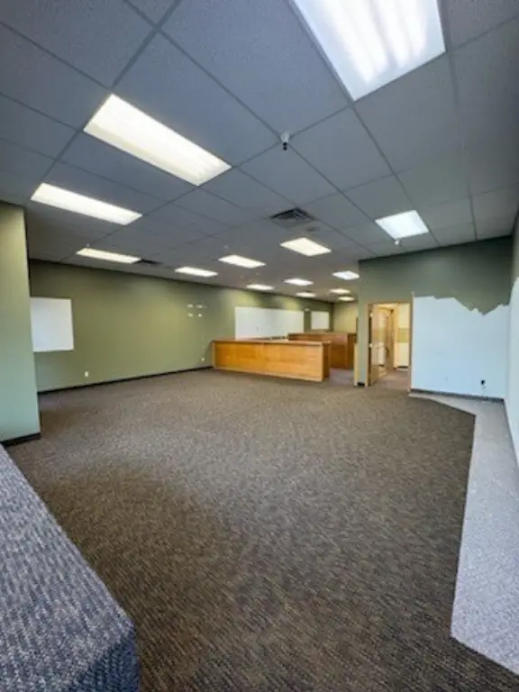 Picture 7
