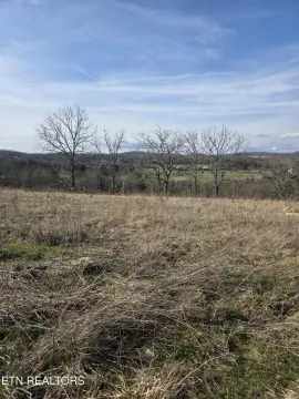 Norris Lake Ready-to-Build Lot