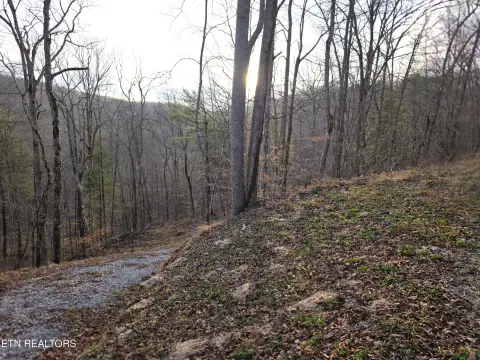 Unrestricted Land Near Recreation Area