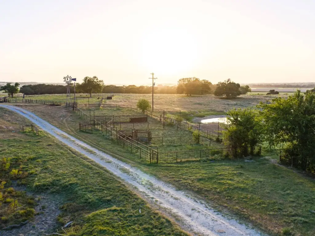 Picture 12