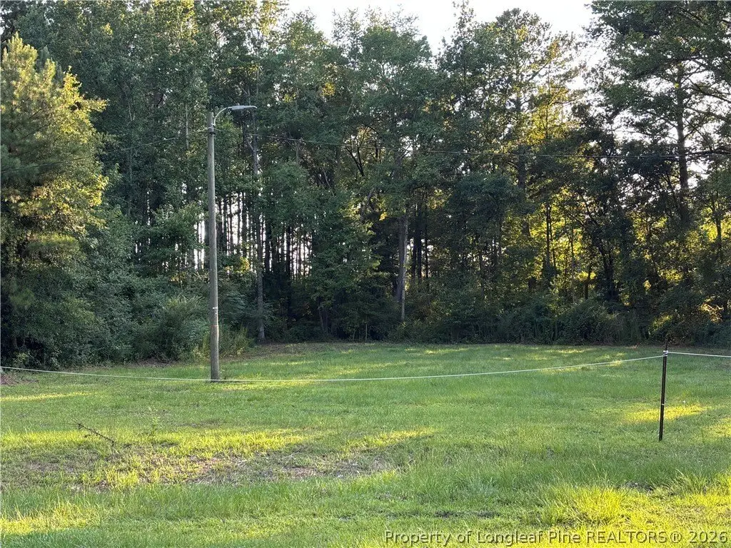 595 Shaw Rd, Saint Pauls, NC 28384