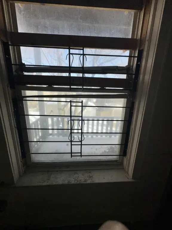Picture 15