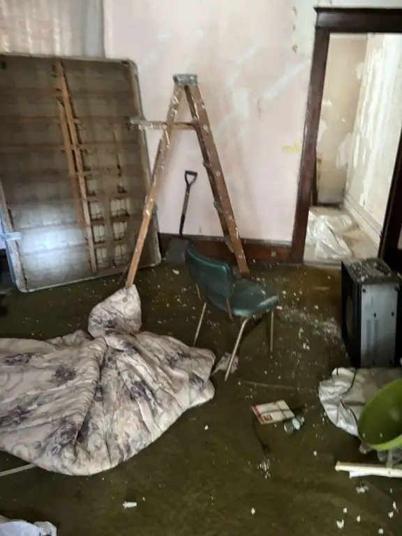 Picture 19