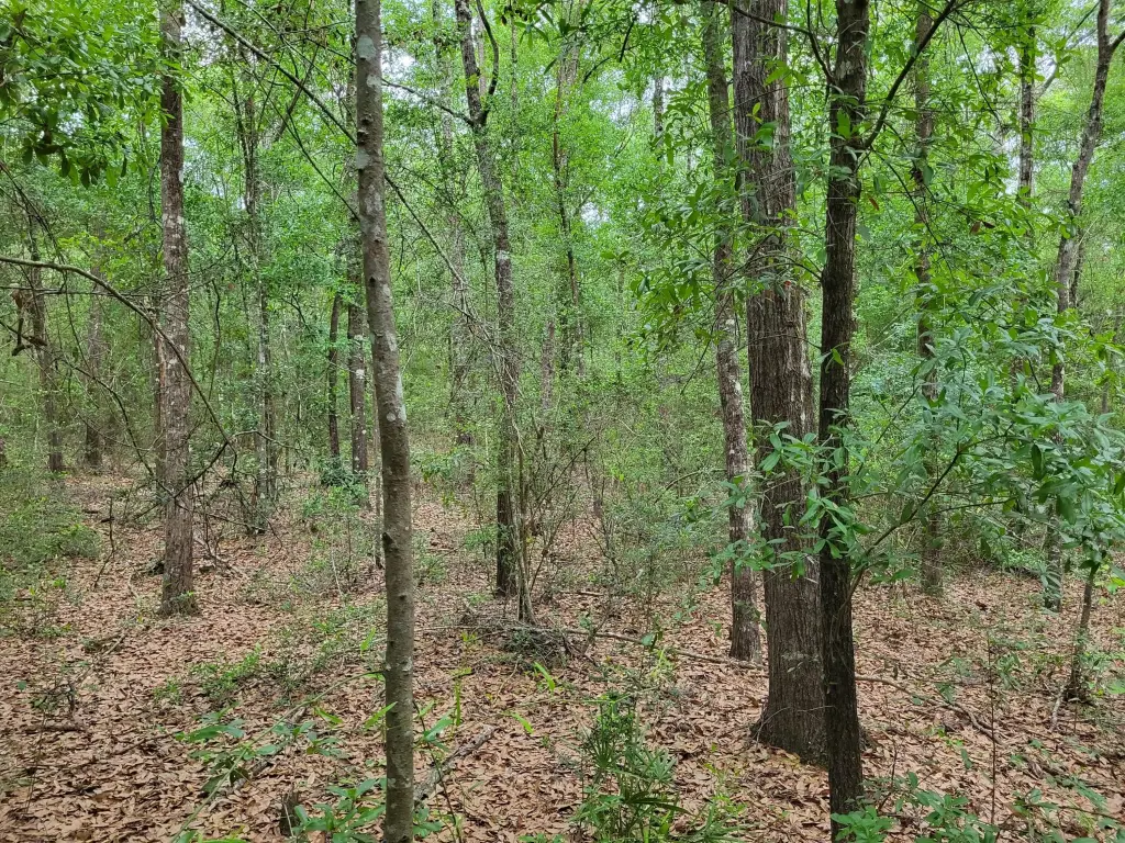 Picture 6