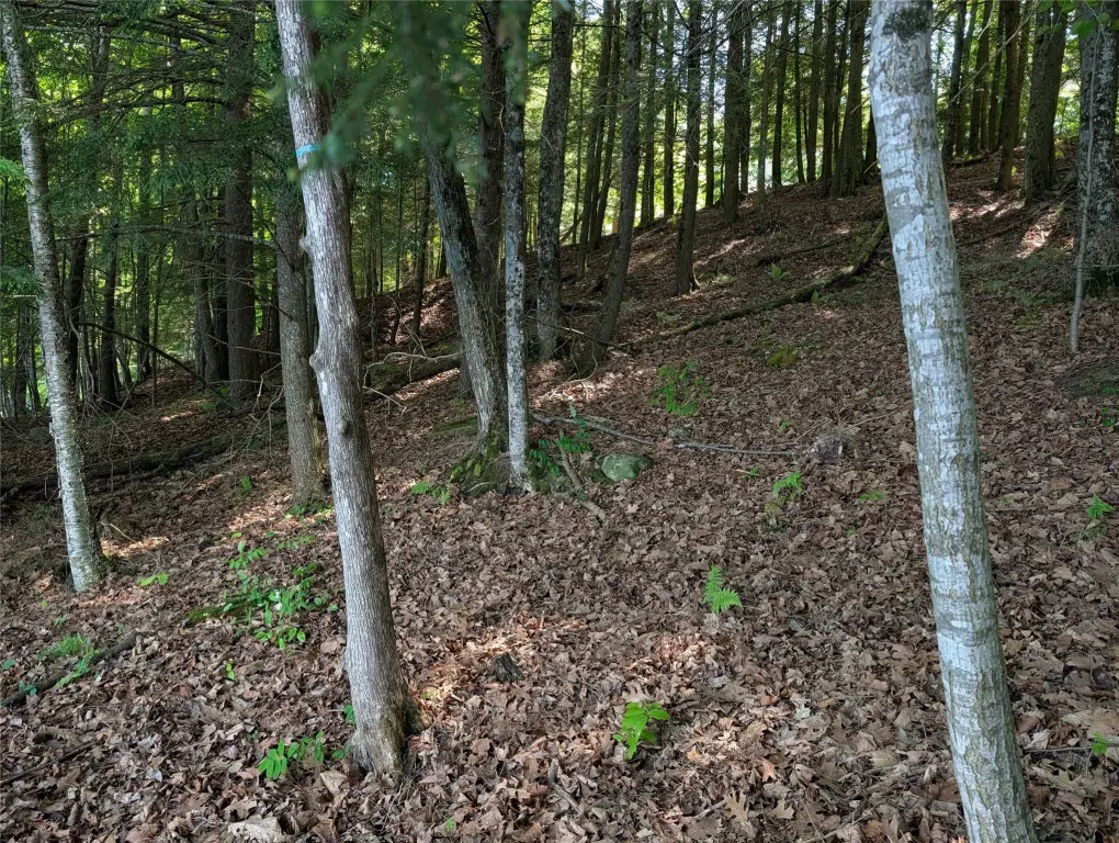 Picture 7