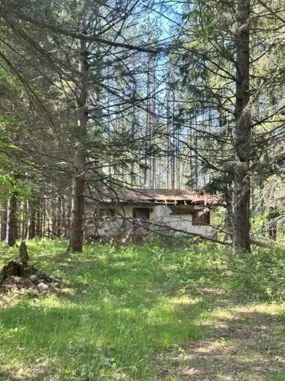 Picture 8