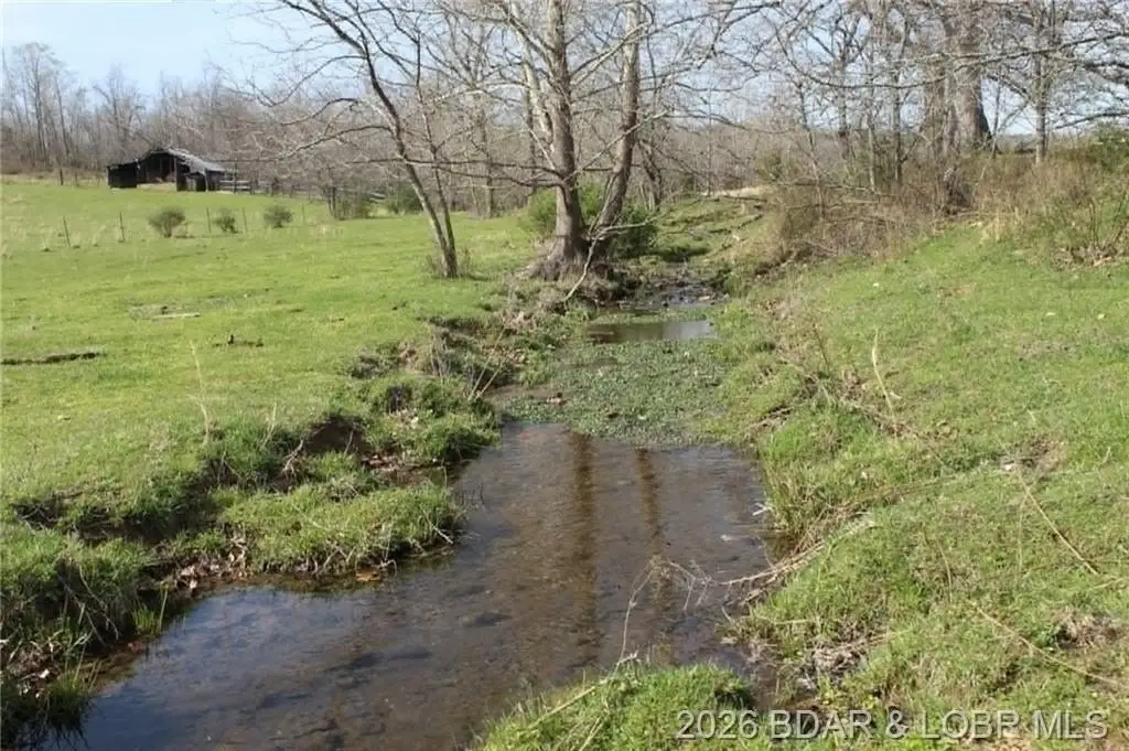 Picture 19