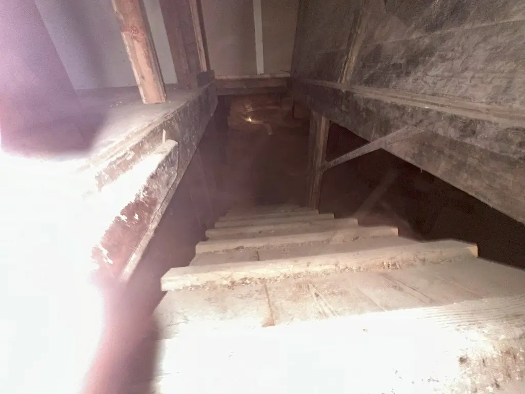 Picture 7