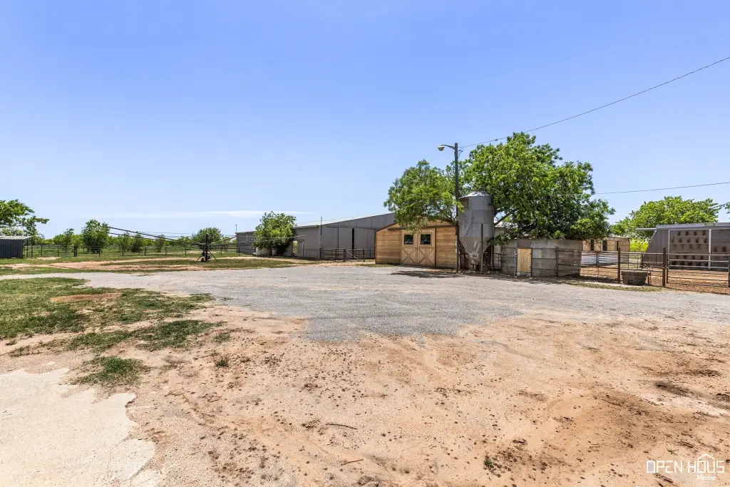 Picture 29